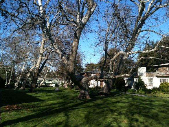 Friends Who Live in Los Angeles