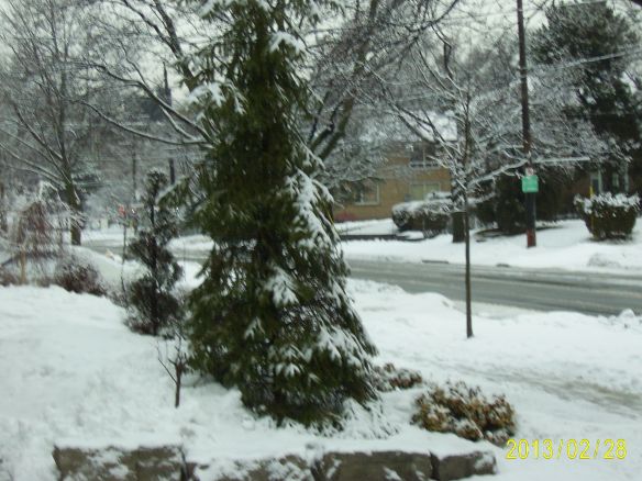 SAMSUNG DIGITAL CAMERA