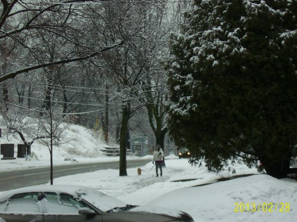 SAMSUNG DIGITAL CAMERA