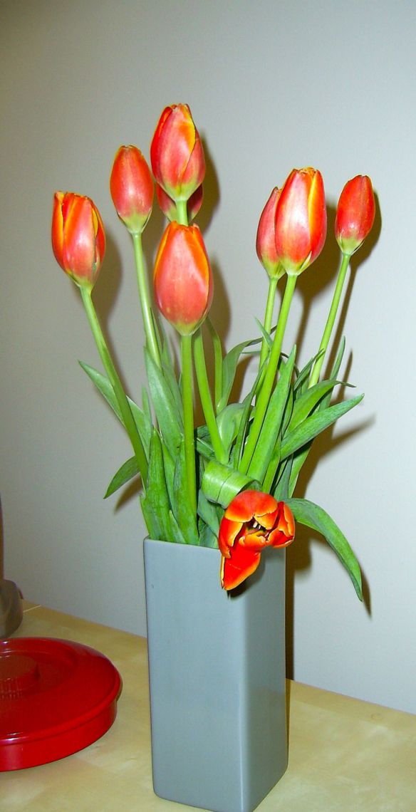 SAMSUNG DIGITAL CAMERA