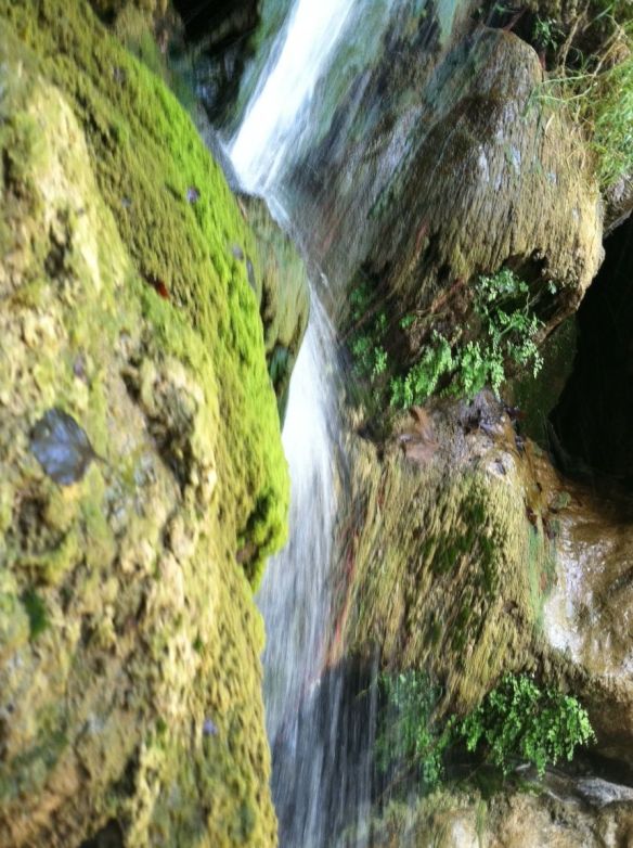 close up solstice falls