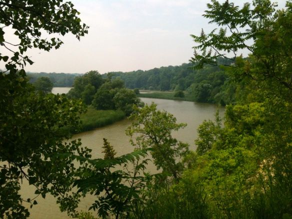 river from east bank