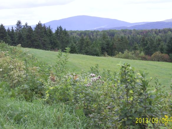 SAMSUNG DIGITAL CAMERA