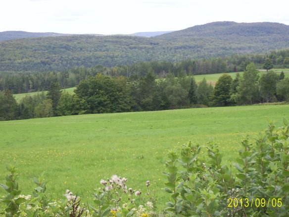 SAMSUNG DIGITAL CAMERA