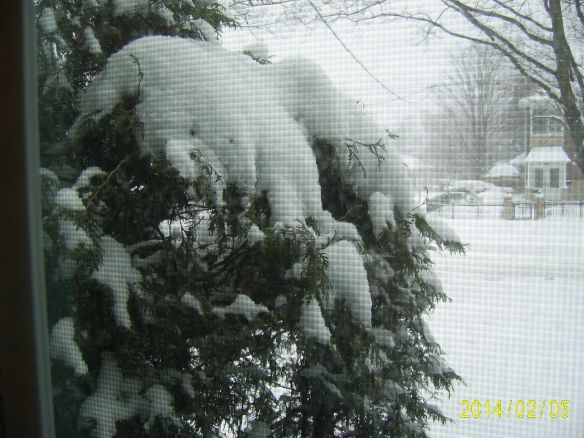 SAMSUNG DIGITAL CAMERA