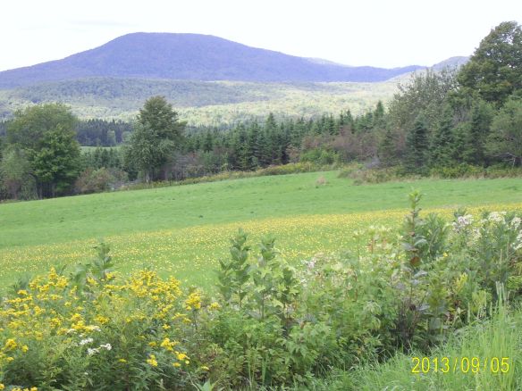 SAMSUNG DIGITAL CAMERA