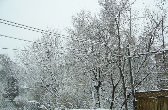 SAMSUNG DIGITAL CAMERA