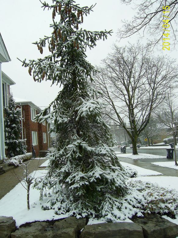 SAMSUNG DIGITAL CAMERA